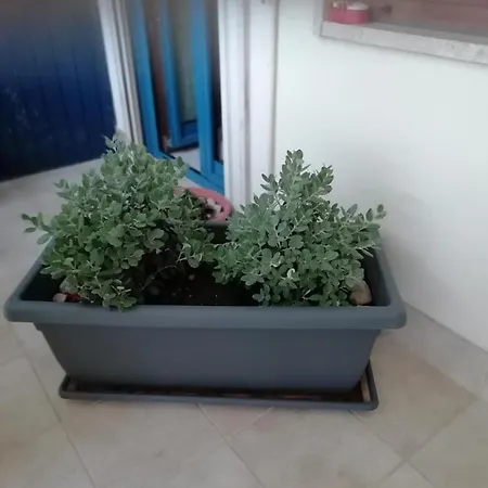 Da Luigi Locazioni Brevi Turistiche